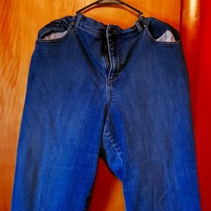 Gloria Vanderbilt Amanda Blue Jeans